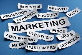 Diploma in Business Management
