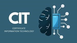 Diploma in IT