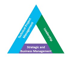 Project management